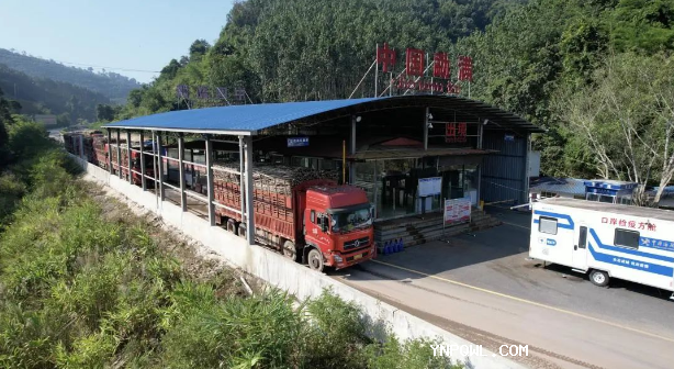 中老鐵路，鐵路集裝箱運輸